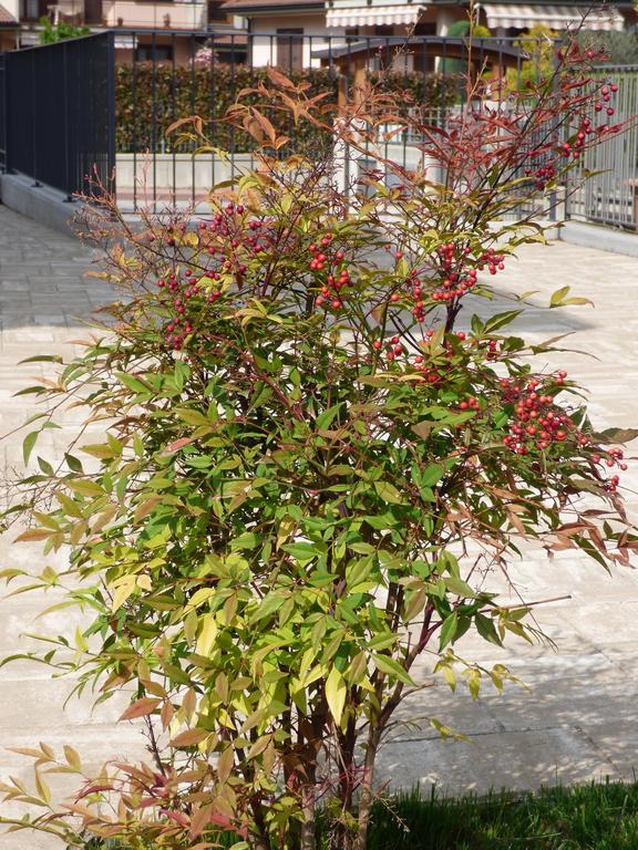 Giravento Bed and Breakfast Borgo San Dalmazzo Exteriör bild